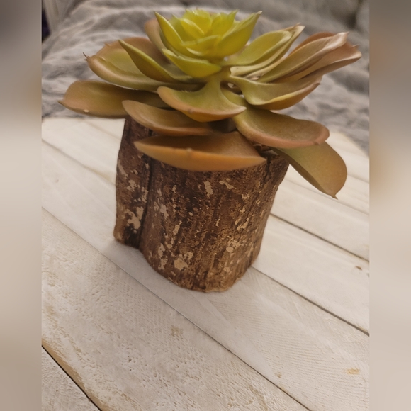 Ashland Accents Ashland Artificial Succulent Plant Poshmark
